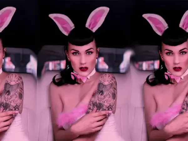 Pink Bunny